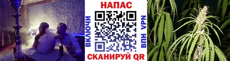 МАРИХУАНА сатива  Купить  Тюкалинск 